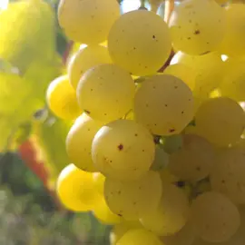 20170818_173141