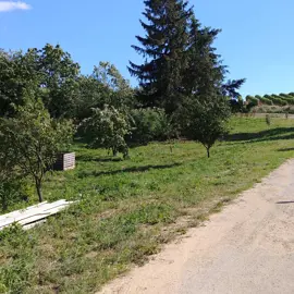 20180630_172938